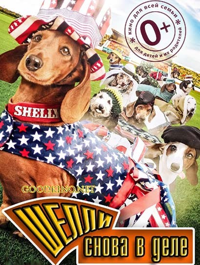 Шелли снова в деле (2015)