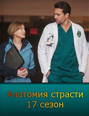 Анатомия страсти 17 сезон