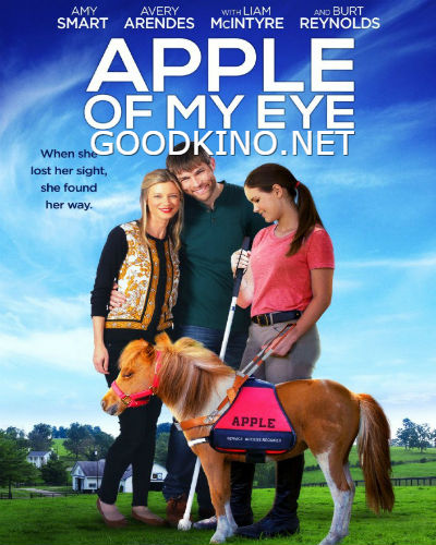 Зеница ока (2016)