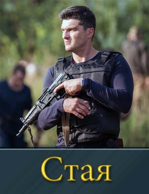 Стая на НТВ