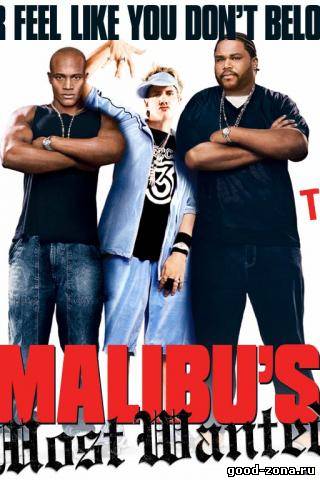 Разыскиваются в Малибу