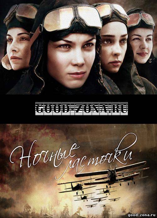 Ночные ласточки