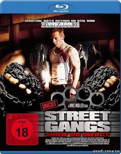 Уличный боец (2012)