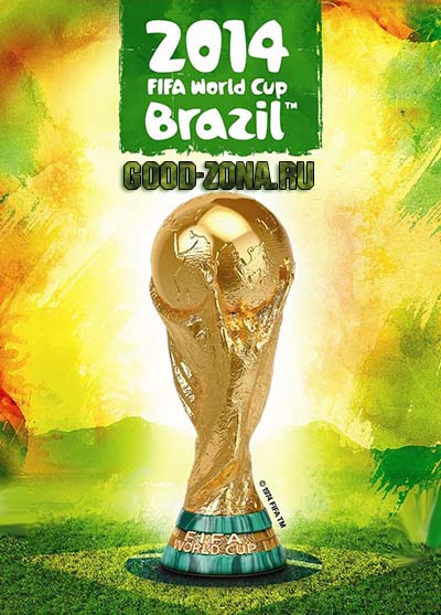 Чемпионат мира по футболу 2014