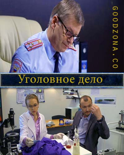 Уголовное дело (2015) все серии